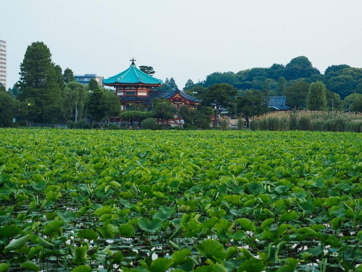 Pensión Tora Ueno 寅ホテル 上野 C Tokio